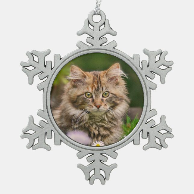 Cute Maine Coon Kitten Cat Portrait Photo ** Snowflake Pewter Christmas Ornament (Front)
