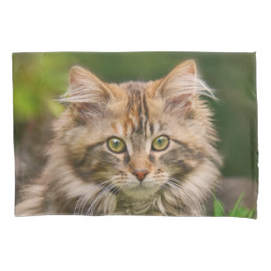 Cute Maine Coon Kitten Cat Portrait - Pillow-Cover Pillowcase