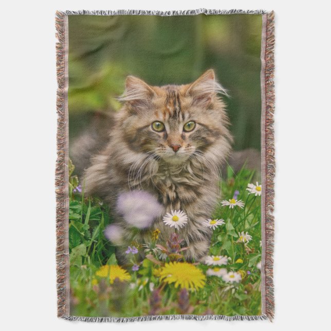 Cute Maine Coon Kitten Cat Sitting in Flowers Throw Blanket (Front Vertical)