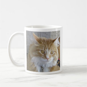 Cute Maine Coon Kitten Close-Up Photograph Coffee Mug