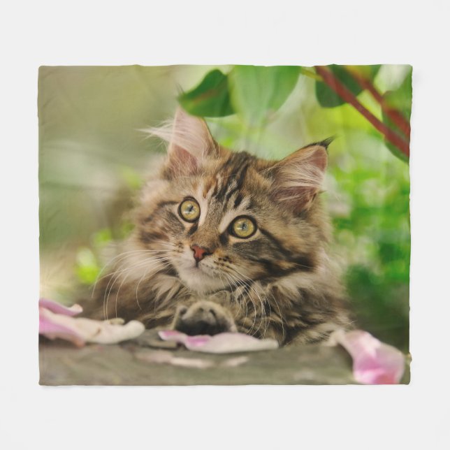 Cute Maine Coon Kitten cosy Fleece Blanket (Front (Horizontal))