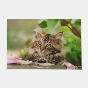 Cute Maine Coon kitten Doormat