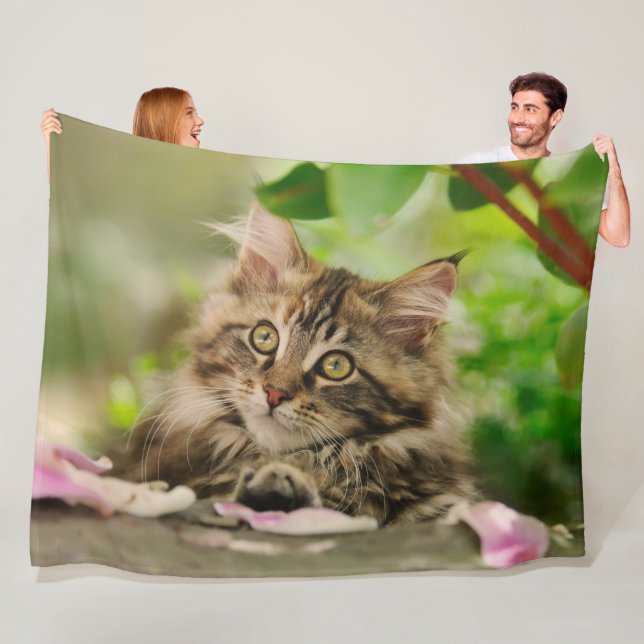 Cute Maine Coon Kitten in a Garden Fleece Blanket (In Situ)