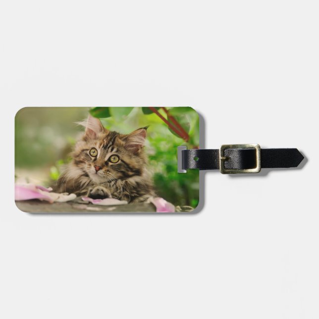 Cute Maine Coon kitten Luggage Tag (Front Horizontal)
