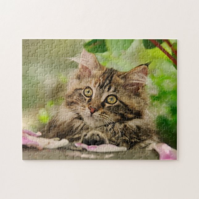 Cute Maine Coon kitten resting in a garden - Jigsaw Puzzle (Horizontal)