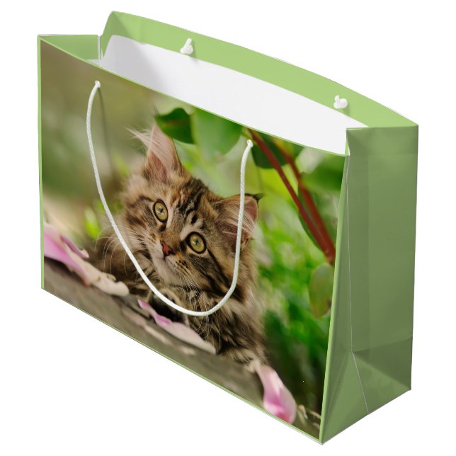 Cute Maine Coon Kitten, wrap Large Gift Bag (Back Angled)