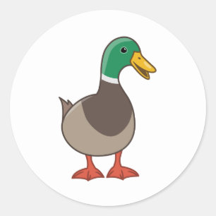 Cute Mallard Duck Classic Round Sticker