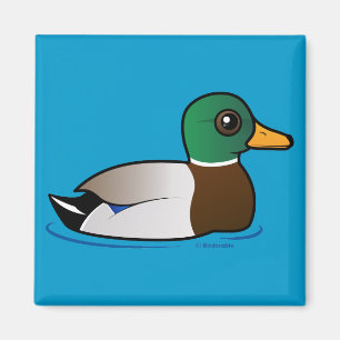 Cute Mallard Male Magnet