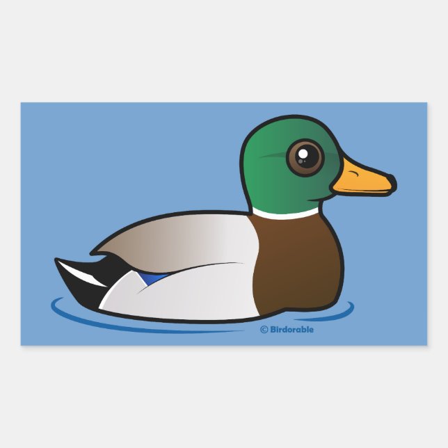 Cute Mallard Male Rectangular Sticker (Front)