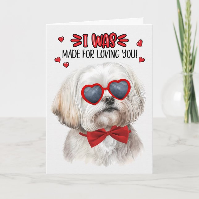 Cute Maltese Dog Made for Loving You Valentine Holiday Card (Front)