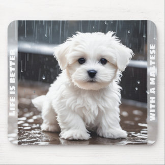 Cute Maltese Dog Puppy Fall Rain Custom Name Mouse Mat