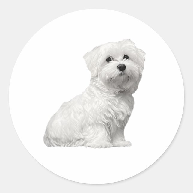 Cute Maltese Dog Sitting Puppy Classic Round Sticker (Front)