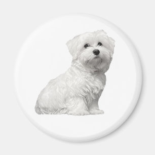 Cute Maltese Dog Sitting Puppy Magnet