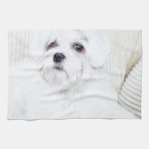 Cute Maltese Dog Tea Towel