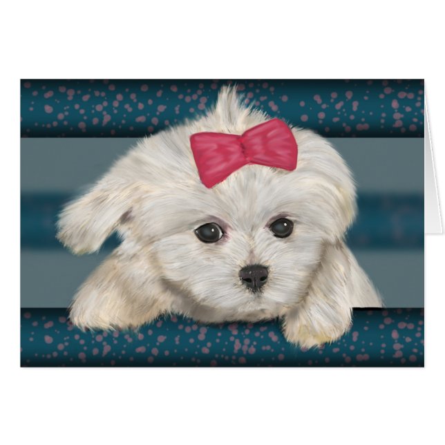 Cute Maltese Dog with Creme Fur and Red Ribbon (Front Horizontal)