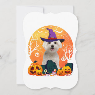 cute maltese halloween costume  dog lover 