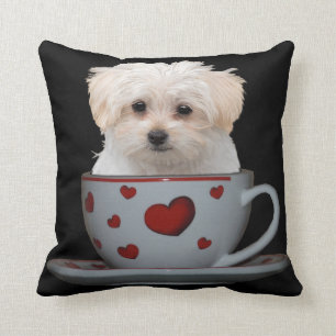 Cute Maltese Puppy Sitting in a Cup and Saucer Cushion
