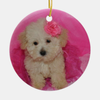 Cute Maltipoo Puppy Ceramic Tree Decoration
