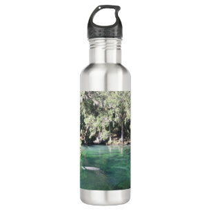 Cute Manatees Swimming Florida 710 Ml Water Bottle
