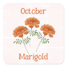Cute Marigold Flowers October