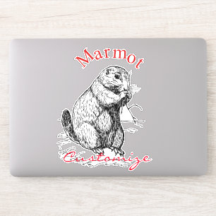 Cute Marmot Animal Thunder_Cove