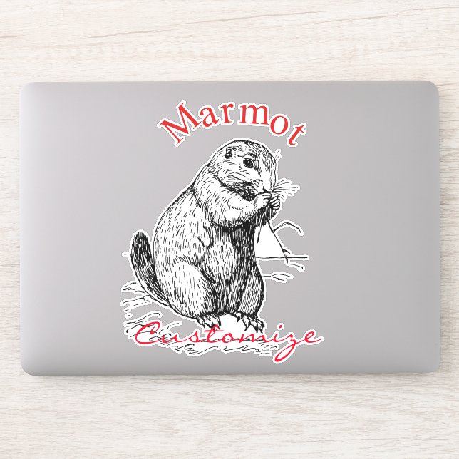 Cute Marmot Animal Thunder_Cove (Computer)