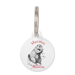 Cute Marmot Animal Thunder_Cove Pet Tag