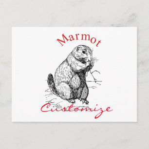 Cute Marmot Animal Thunder_Cove Postcard
