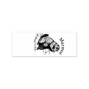 Cute Marmot Animal Thunder_Cove Rubber Stamp