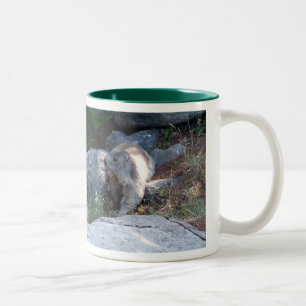 Cute marmot -- Swiss mug