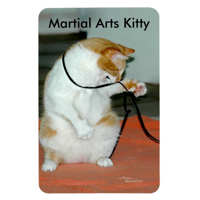 Cute Martial Arts Kitty Flexible Magnet (Vertical)