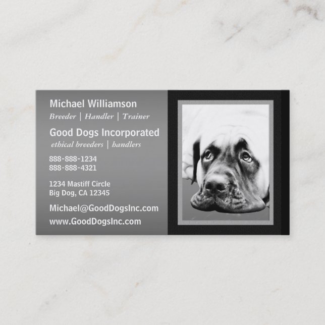 Cute Mastiff dog Business Card (Front)