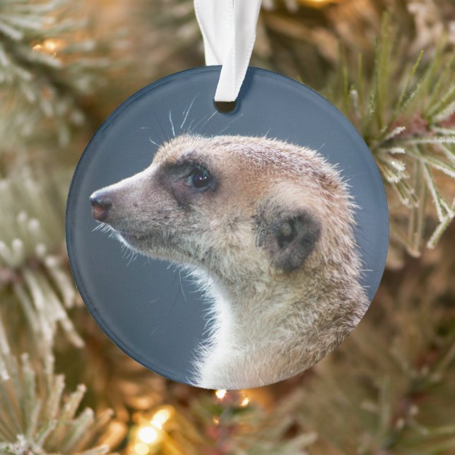 Cute  Meerkat Circular Christmas Ornament (Tree)