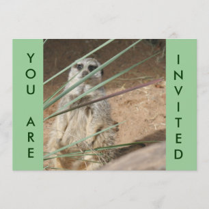 Cute Meerkat Invitation
