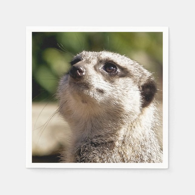 CUTE MEERKAT NAPKIN (Front)