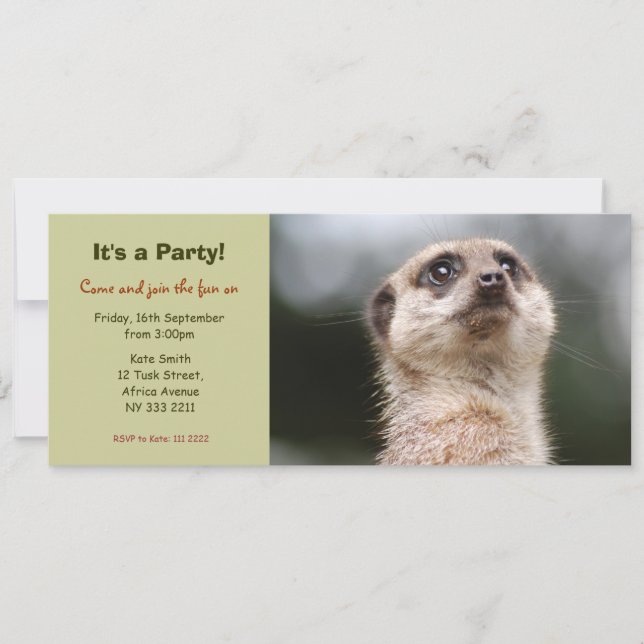 Cute Meerkat Party Invitation (Front)