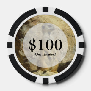Cute meerkat photograph poker chips