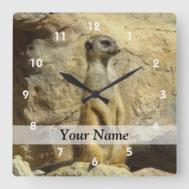 Cute meerkat photograph square wall clock (Front)