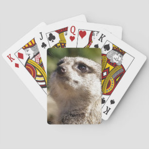 CUTE MEERKAT PLAYING CARDS