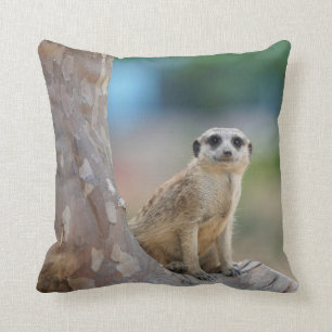 Cute Meerkat Sat on Tree Cushion