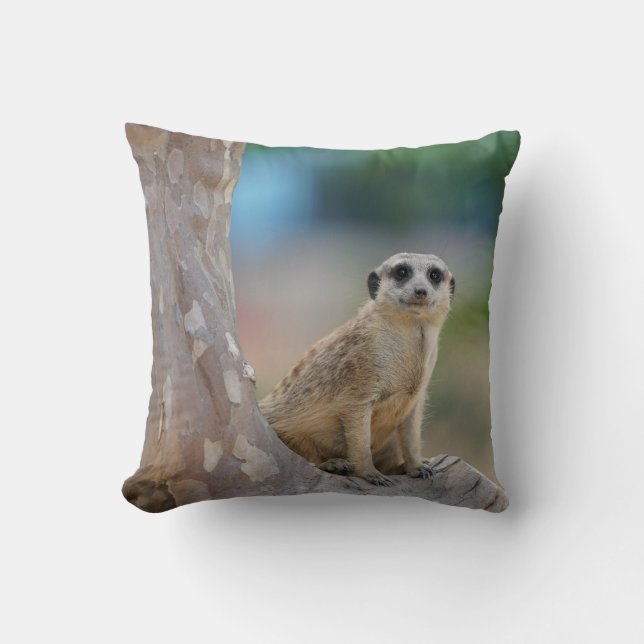 Cute Meerkat Sat on Tree Cushion (Front)