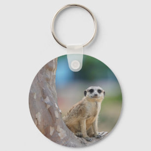 Cute Meerkat Sat on Tree Key Ring