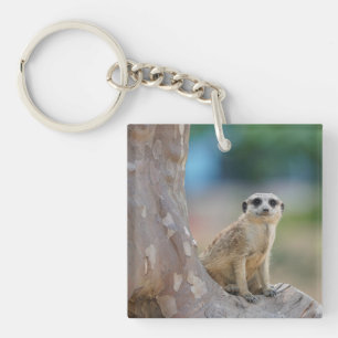 Cute Meerkat Sat on Tree Key Ring