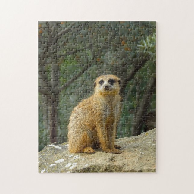 Cute Meerkat Sitting Photograph Jigsaw Puzzle (Vertical)