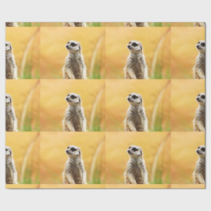 Cute Meerkat Wrapping Paper
