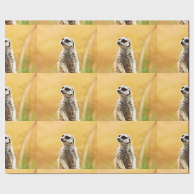 Cute Meerkat Wrapping Paper (Seam)