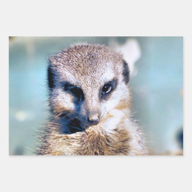 CUTE MEERKAT  WRAPPING PAPER SHEET (Front)