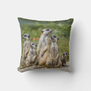 Cute Meerkats Cushion
