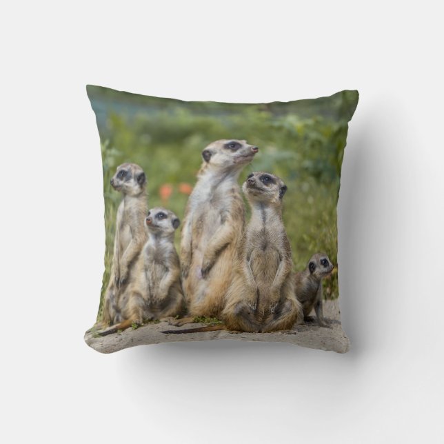 Cute Meerkats Cushion (Front)