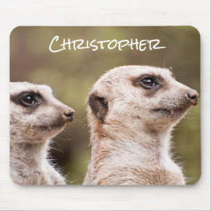Cute Meerkats Photo Personalised Mouse Mat